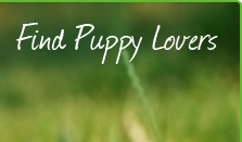 Find Puppy Lovers