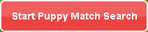 Start Puppy Match Search