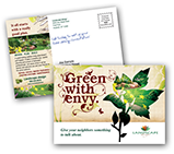 Landscaping - Green With Envy