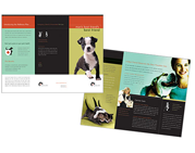 DirectMail Brochure#5