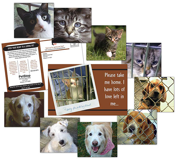 this pet adoption postcard Adopt A Pet. this pet adoption postcard