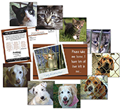 Pet Care - Adopt A Pet
