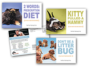 Pet Care - Clinic Care