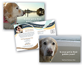 Pet Care - Golden Years