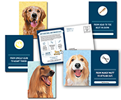 Pet Care - Grooming