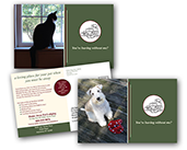 Pet Care - Leaving Without Me?