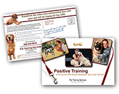 Pet Care - Trainer