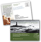 Taxes - Safe Harbor