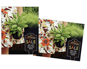 DirectMail Poster#6