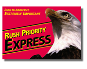 DirectMail Specialty Envelope#1