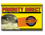 DirectMail Specialty Envelope#3