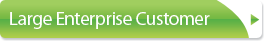 Large Enterprise Customer